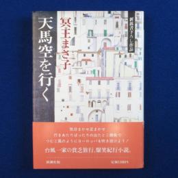 天馬空を行く
