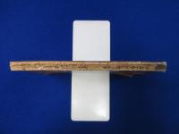 紀元二千六百年 奉祝記念文集 低學年