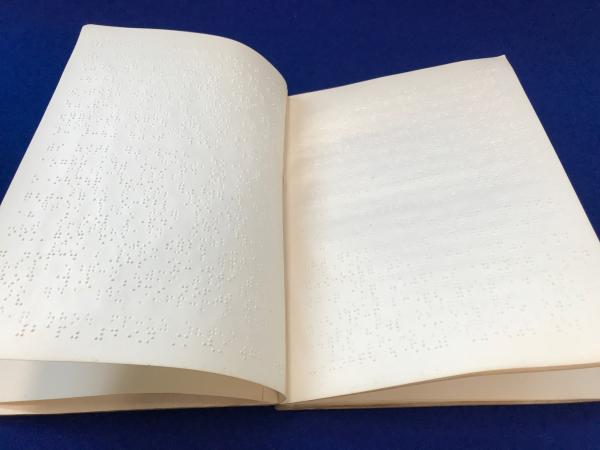 素霊の一本鍼　『柳谷秘法一本鍼伝書』を現代臨床に活かす(天・地・人治療の Amazon.co.jp: 素霊の一本鍼 『柳谷秘法一本鍼伝書』を現代臨床