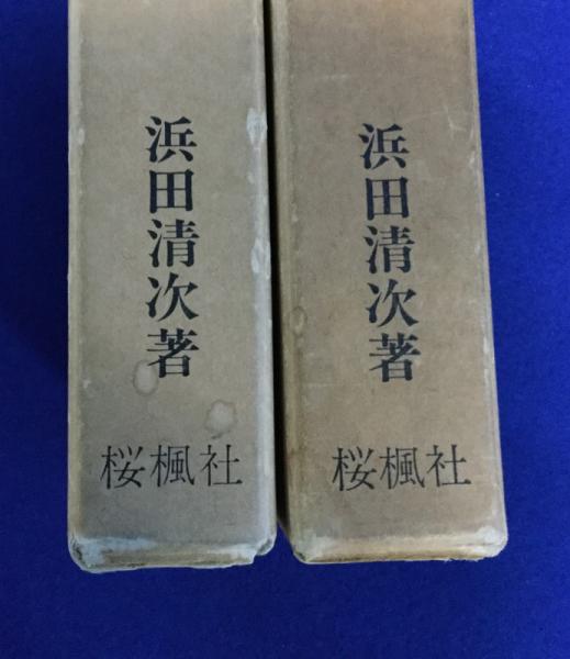 壬申紀私注 上巻 浜田清次 桜楓社