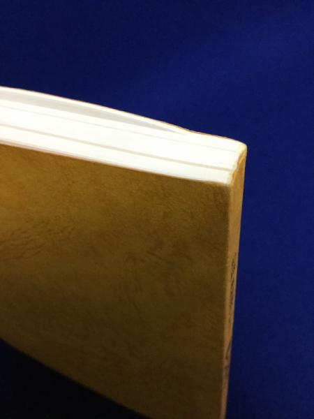 百山百渓 : 記録・奥美濃の山と谷(日比野和美 編) / 古本、中古本、古