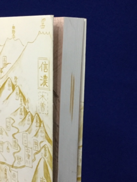 期間限定30％OFF! 土岐氏主流累代史 全 美濃国中世合戦史・美濃守護 : 美濃源氏 : その他