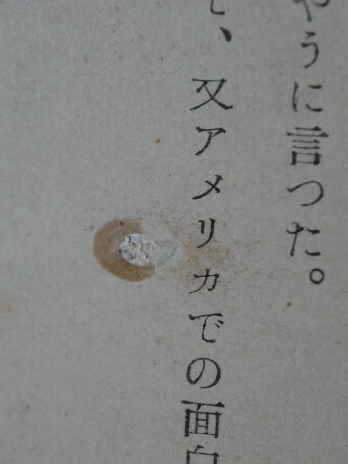 紫苑の園(松田瓊子) / 古本、中古本、古書籍の通販は「日本の古本屋