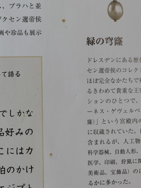 奇想の陳列部屋 Amazon.co.jp: 奇想の陳列部屋 : パトリック モリエス, 市川