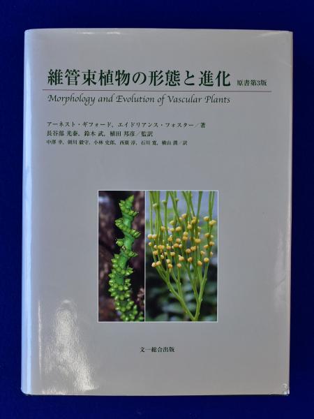 維管束植物の形態と進化(アーネスト・M.ギフォード, エイドリアンス・S