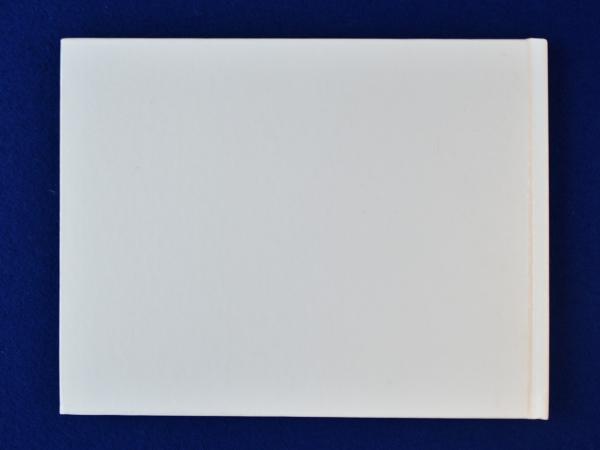 彩宴(高橋恭司 写真) / 株式会社 徒然舎 / 古本、中古本、古書籍の通販