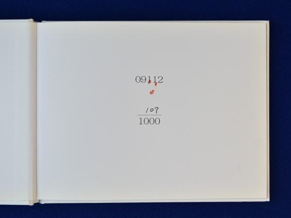 彩宴(高橋恭司 写真) / 株式会社 徒然舎 / 古本、中古本、古書籍の通販