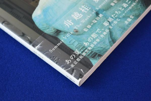 舟越桂 夏の邸宅(舟越桂 著 ; 塩田純一 監修 ; 今井智己 写真