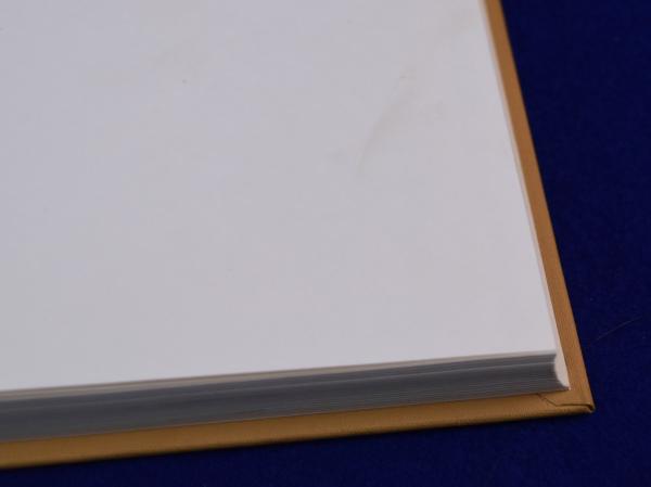徳川諸家系譜 全4巻揃 | 斎木一馬, 岩沢愿彦 校訂 | 続群書類従完成会