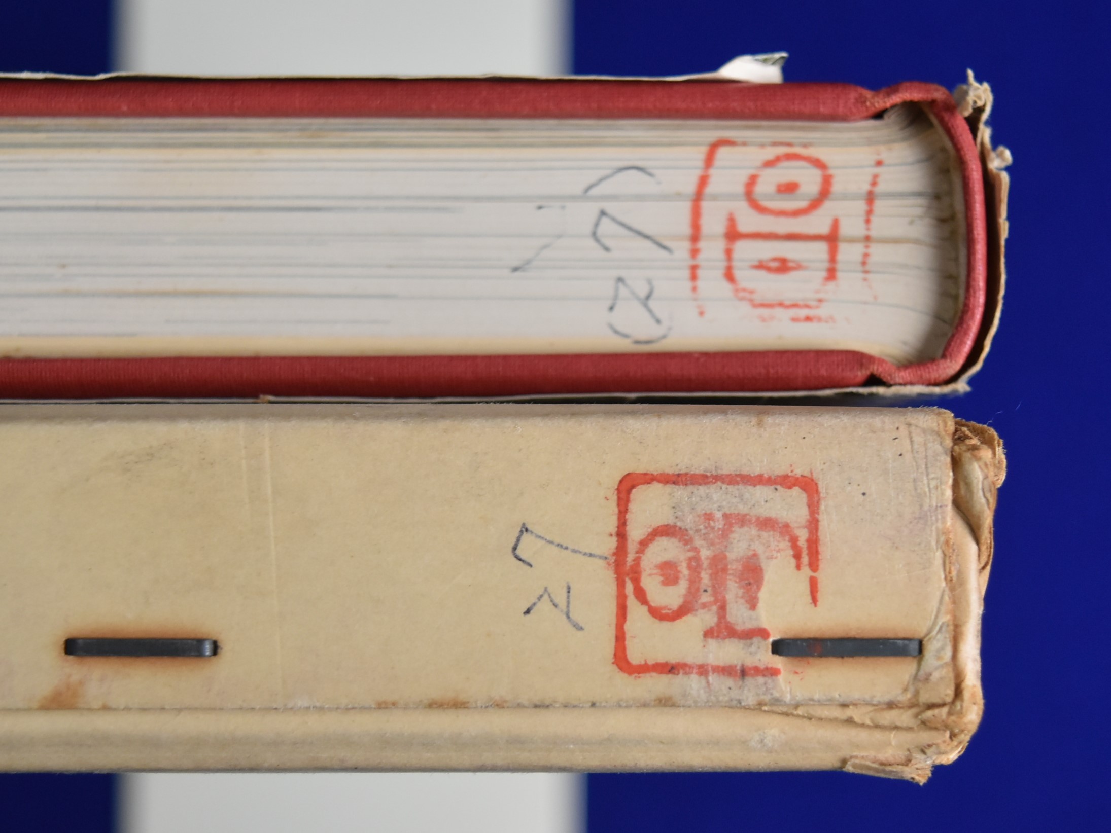 シャボテン　古書 シャボテン(龍膽寺雄) / 古本、中古本、古書籍の通販は「日本の