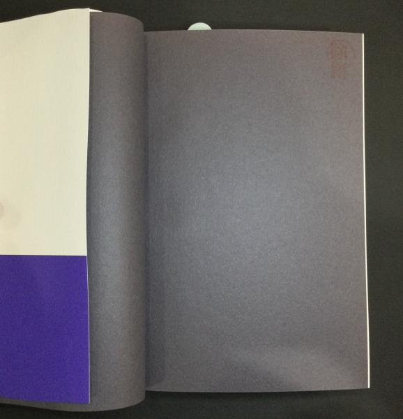 実践の倫理(ピーター・シンガー 著 ; 山内友三郎, 塚崎智 監訳) / 古本