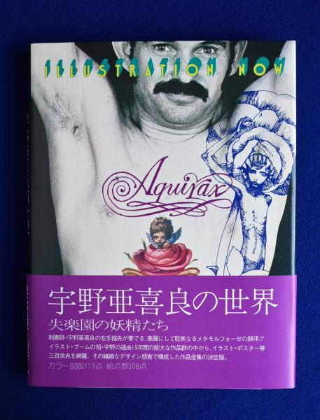宇野亜喜良の世界 失楽園の妖精たち イラストレーション・ナウ