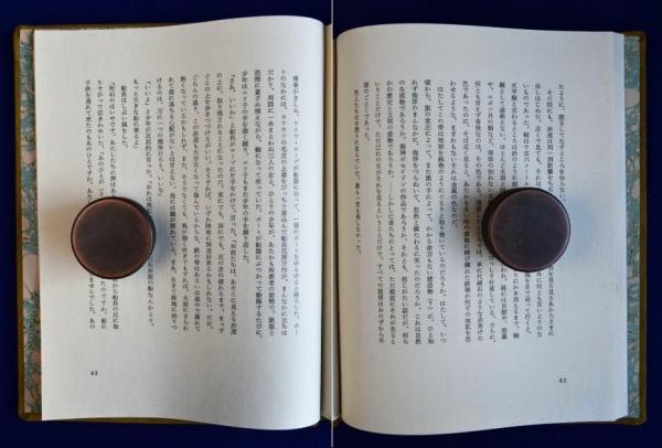 マドンナの真珠 限定185部内65番(澁澤龍彦著 池田満寿夫銅版