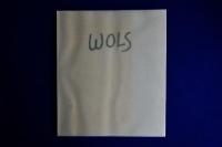 ヴォルス : WOLS