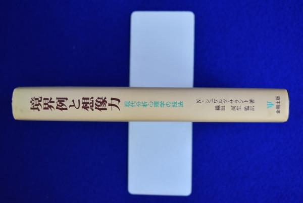 境界例と想像力 : 現代分析心理学の技法(ネイサン・シュワルツーサラン 
