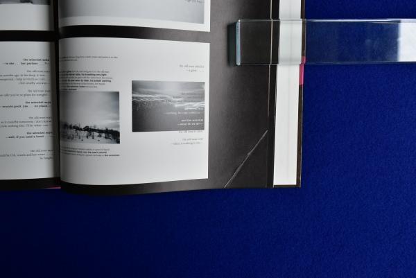 TOMATO(TOMATO) / 古本、中古本、古書籍の通販は「日本の古本屋 