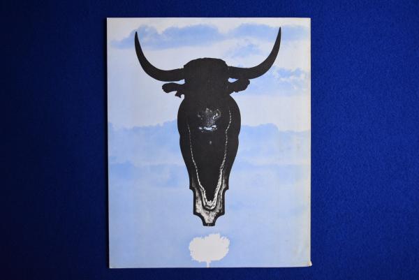 スペイン 偉大なる午後(奈良原一高) / 古本、中古本、古書籍の通販は