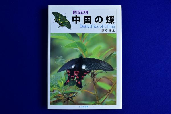 お買い得価格 中国の蝶−生態写真集 生物学 - LITTLEHEROESDENTISTRY