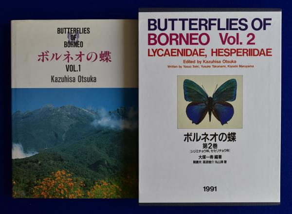 ボルネオの蝶 1・2-1・2-2 全3冊揃(大塚一寿, 関康夫, 高波雄介