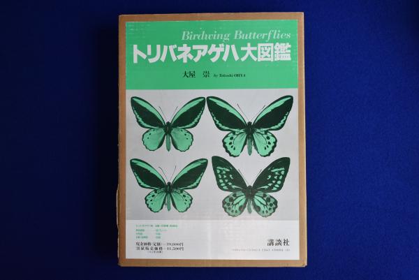 トリバネアゲハ大図鑑(大屋崇) / 古本、中古本、古書籍の通販は「日本