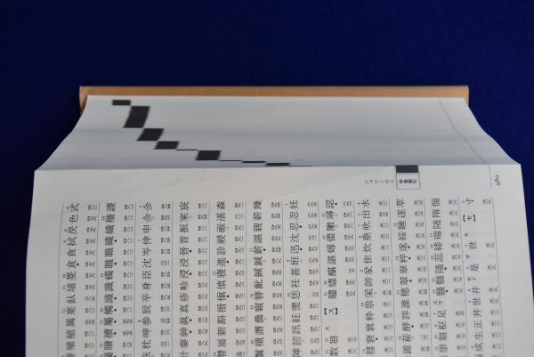 新訂 字統 普及版 新訂 字統 | 白川 静 |本 |