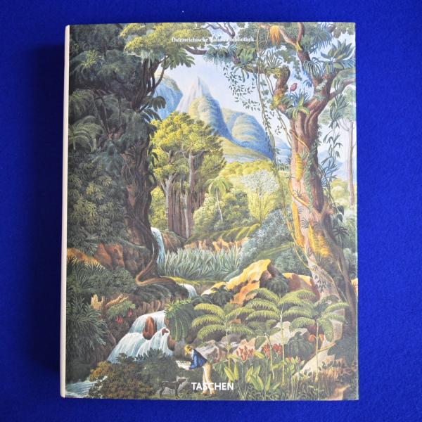 ジョット 他4冊　カンティーニ美術叢書 ジョット 他4冊 カンティーニ美術叢書