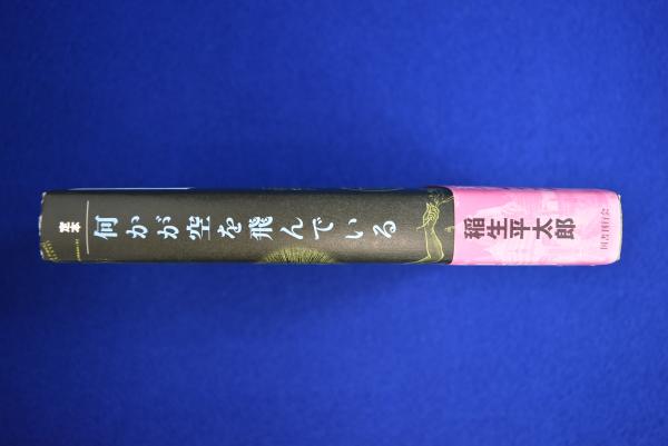 定本 何かが空を飛んでいる(稲生平太郎) / 古本、中古本、古書籍の通販 ...