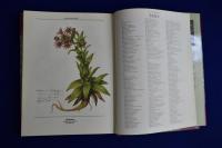The Frampton flora フランプトン・コレクション : ヴィクトリア朝の植物画