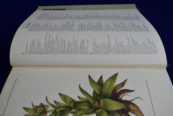 The Frampton flora フランプトン・コレクション : ヴィクトリア朝の