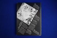 SYMMETRIE als Entwicklungsprinzip in Natur und Kunst 自然と芸術の発展原理としての対称