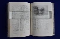 神々の遺産 : 岩録文像の謎