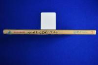 ふうちゃんの大りょこう　絵本 中古絵本専門のオンライン古本屋 コトノハブックス