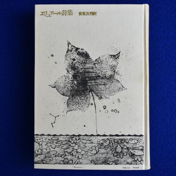 花 : オキーフ画集(ジョージア・オキーフ 画 ; ニコラス・キャラ