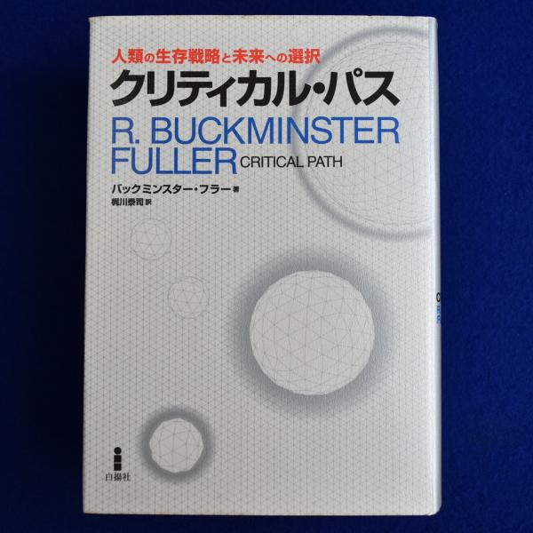 クリティカル・パス : 人類の生存戦略と未来への選択(R.バック