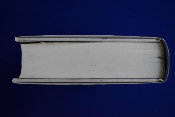 クリティカル・パス : 人類の生存戦略と未来への選択(R.バック