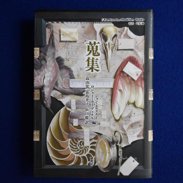 蝶からのメッセージ : フィールド写真集(難波通孝, 三宅誠治