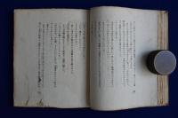 蝶