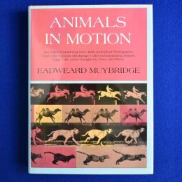ANIMALS IN MOTION エドワード・マイブリッジ