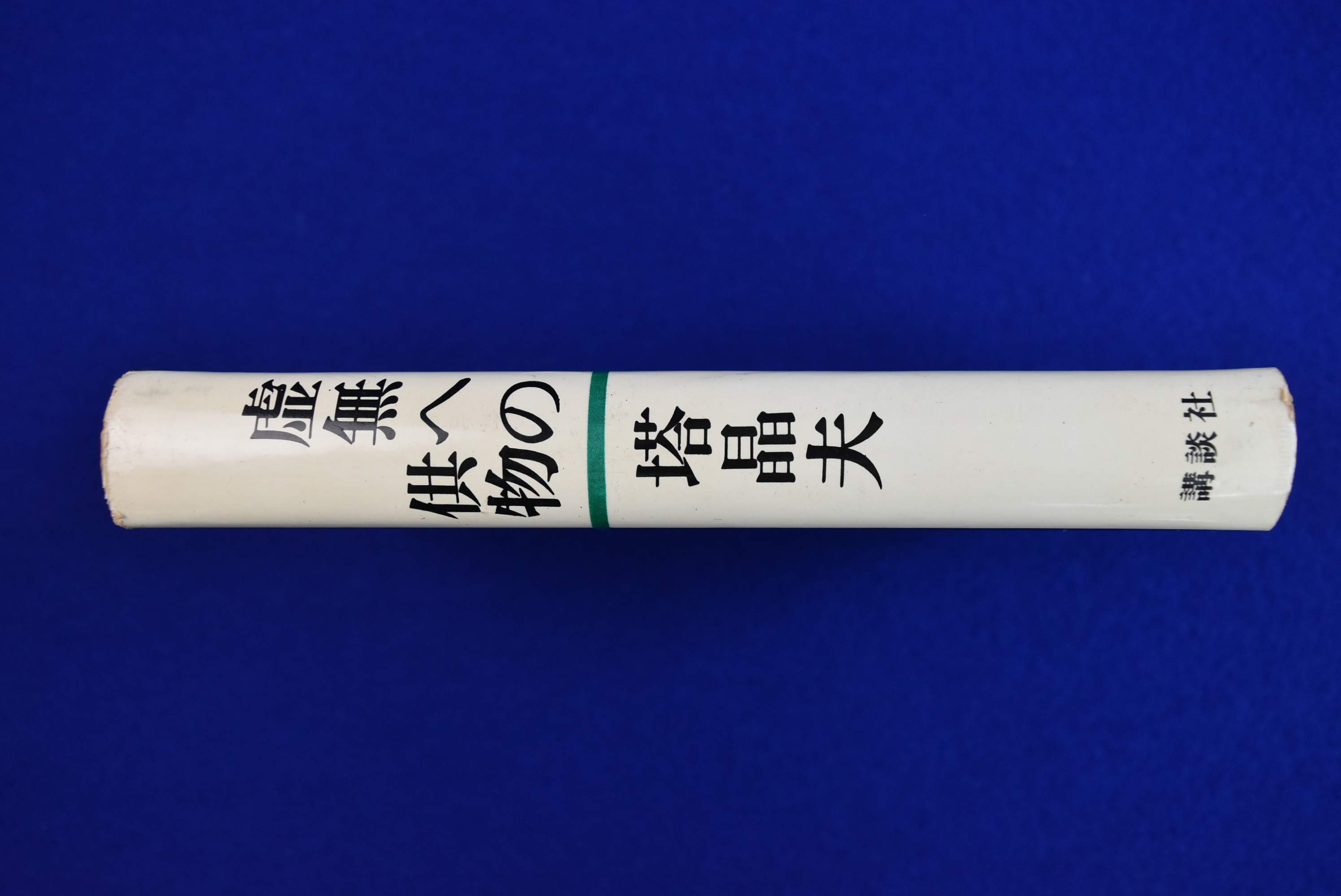 本 【限定380部】中井英夫 短編小説集「幻戯」1976年 初版 南柯
