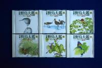 日本野鳥大鑑 : 鳴き声420 増補版