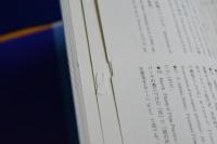 新 映画理論集成 全2冊揃(岩本憲児, 武田潔, 斉藤綾子 編) / 古本