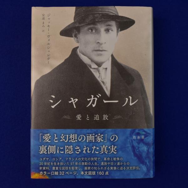 ハイドン ロマンの軌跡―弦楽四重奏が語るその生涯 | 井上 和雄