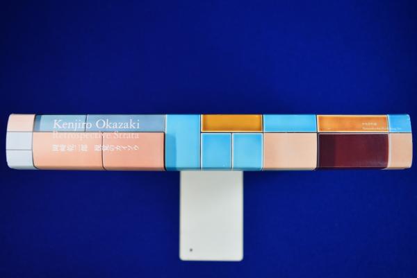 岡﨑乾二郎視覚のカイソウ 〔展覧会図録〕(岡﨑乾二郎 作 ; 岡﨑