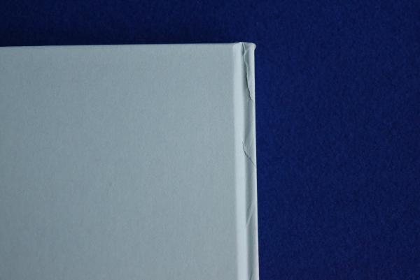 カラーフィールド : 色の海を泳ぐ 〔展覧会図録〕(サラ