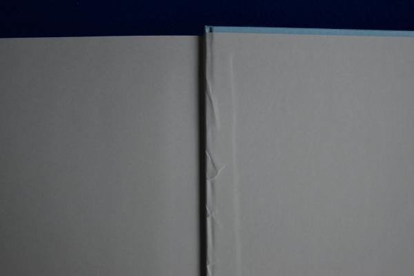 カラーフィールド : 色の海を泳ぐ 〔展覧会図録〕(サラ・スタナーズ