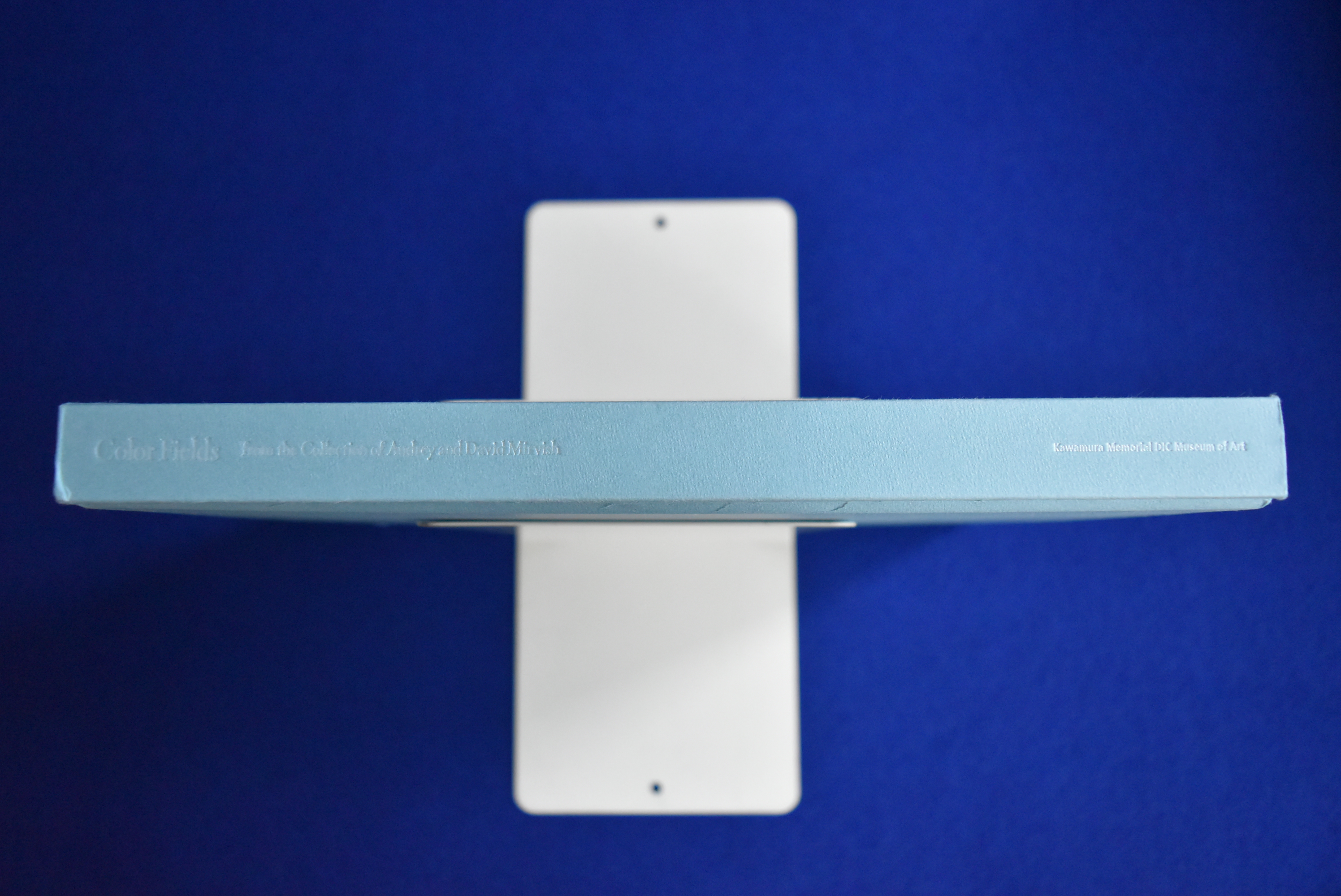 カラーフィールド : 色の海を泳ぐ 〔展覧会図録〕(サラ・スタナーズ