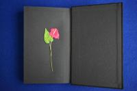 限定版500部 地獄篇 寺山修司先生著作 【a13】 地獄篇 限定版(寺山修司) / 古本、中古本、古書籍の通販は「日本