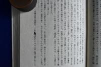 墨牡丹