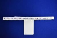 遊 8号　特集 : 叛文字非文字