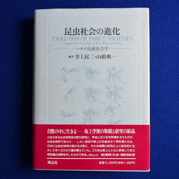 0035487 図説いけばな文化史 全3冊揃 主婦の友社 昭和54年 生花